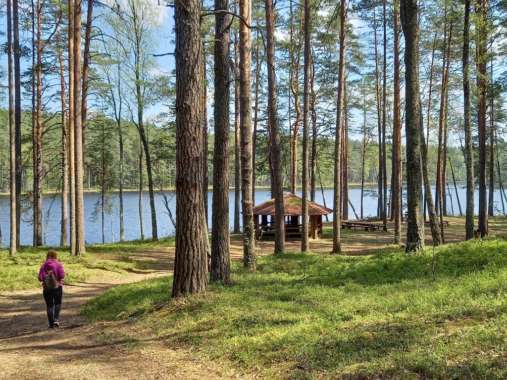 8 skaistākās dabas takas Latgalē, kur nesteidzīgi ieelpot vasaru